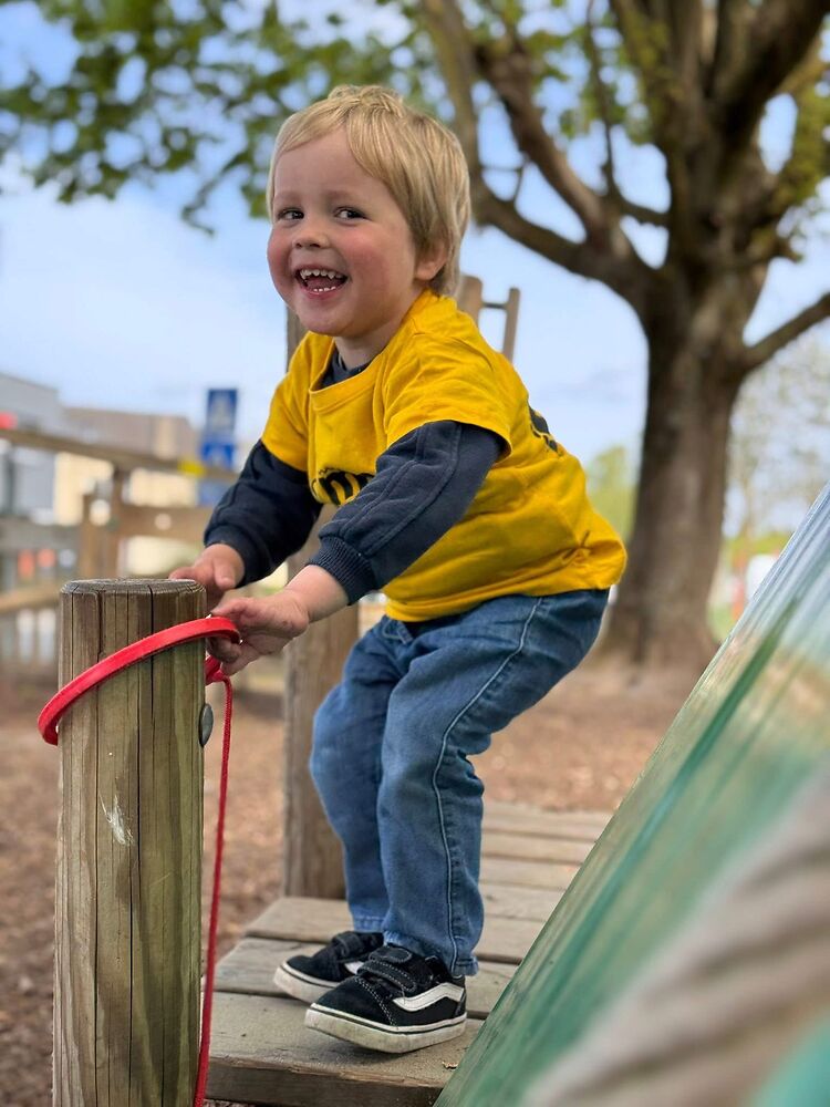 De Wijze Eik - Casierlaan